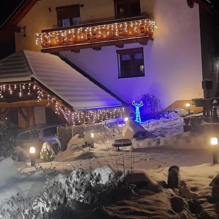 Apartament Pod Bukowym Lasem Meszna Kültér fotó