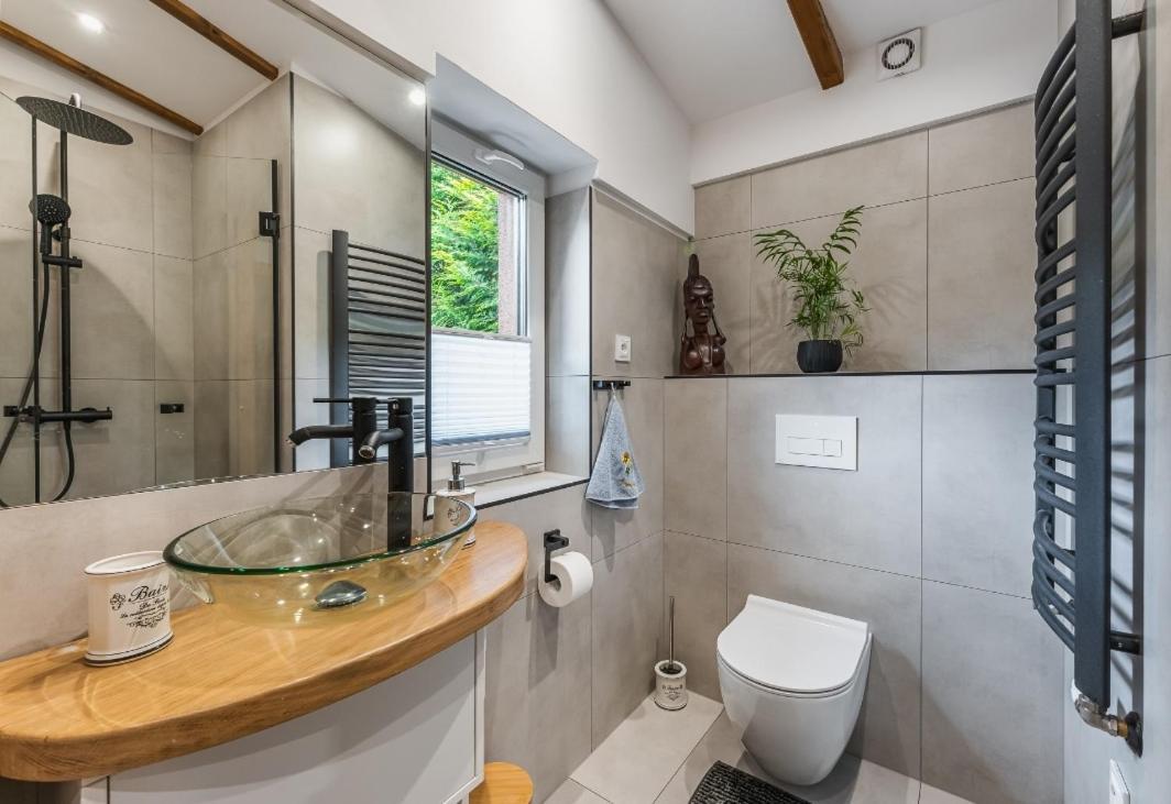 Apartament Pod Bukowym Lasem Meszna Kültér fotó
